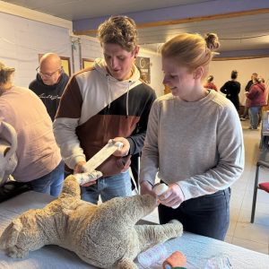Workshop EHBO - Hond
